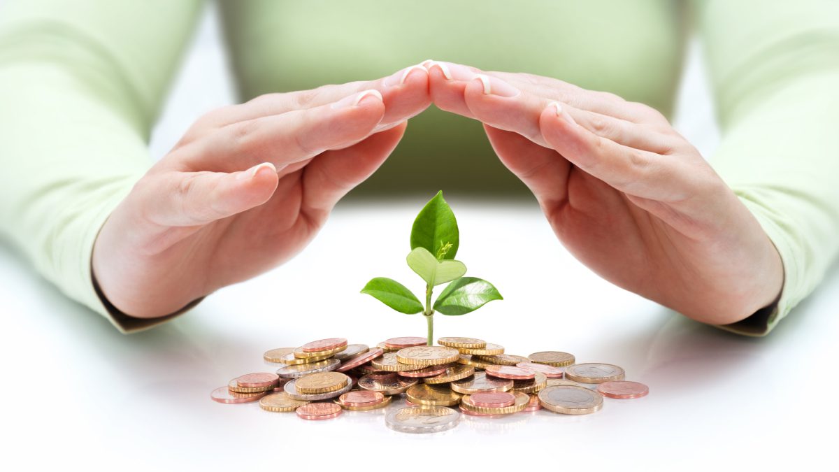 Hands protecting a plant growing from coins.