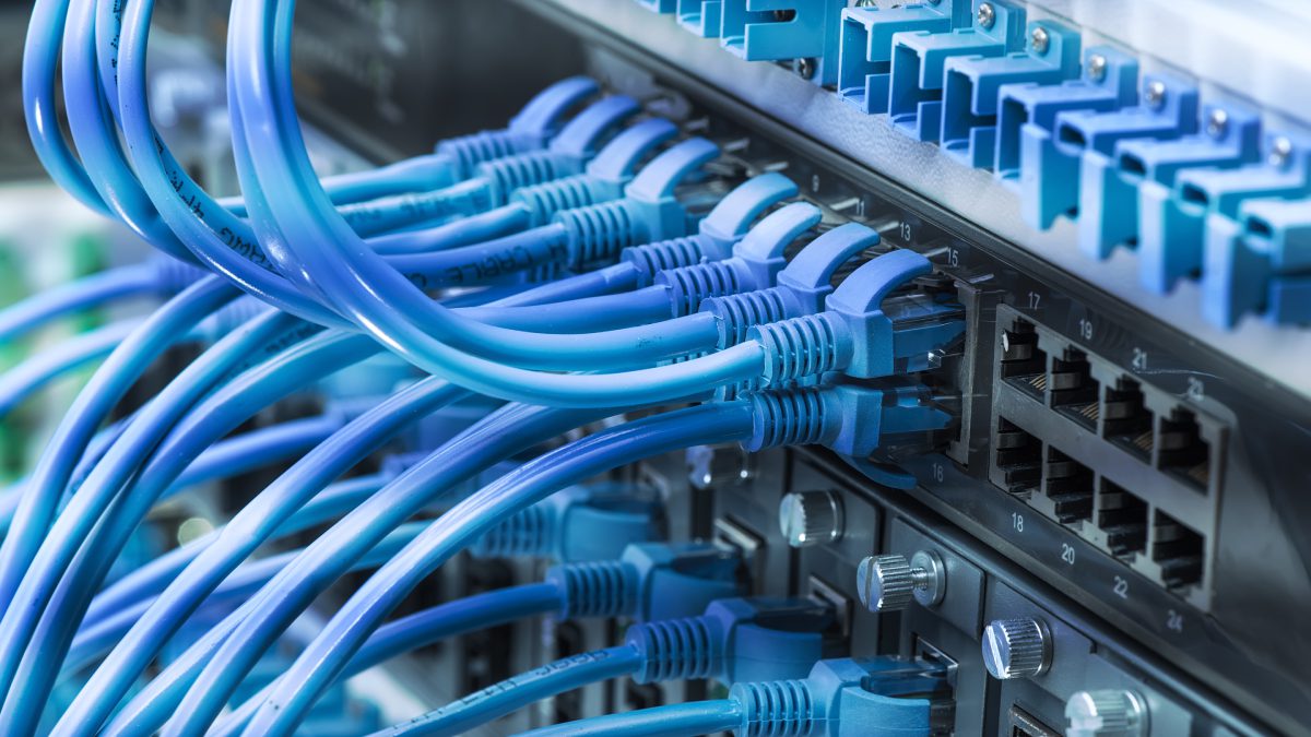 Network cables connected to a server rack.